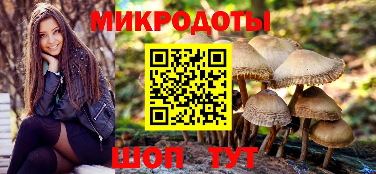 Псилоцибиновые грибы прущие грибы Тольятти
