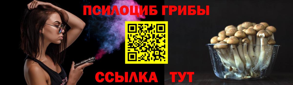 Тольятти  Галлюциногенные грибы мухоморы  Вход с VPN 